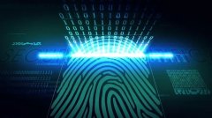 Is browser fingerprinting useful? Can Disguised Browser Fing