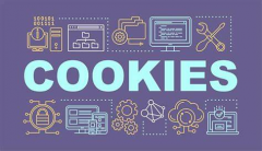 What are Cookies? use? What role does it play in anti-detection?