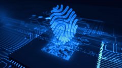 Why do multi-store e-commerce sellers need IP and anti-fingerprinting? Importance of fingerprint browser with IP