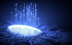 Want to use proxy IP without restrictions? BitBrowser Fingerprint Browser is essential